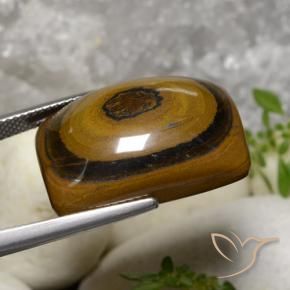 Olho de Tigre Castanho médio Natural 31.07ct, Almofada, Opaco