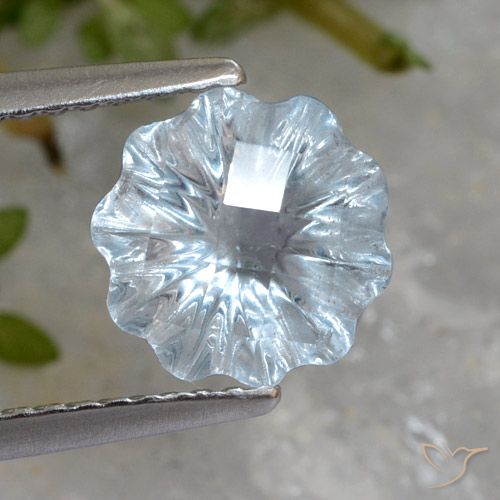 1.90ct Natural Céu azul Topázio, Flor cortada, Transparente