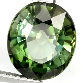 Turmalina verde natural 3,55ct, corte oval, VVS-VS