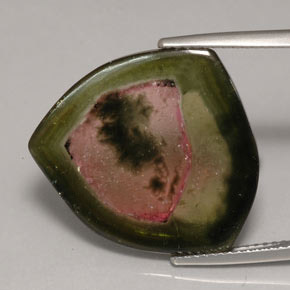 Turmalina multicolorido natural 12,35ct, transparente, transparente/translúcido