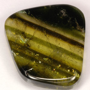 Turmalina multicolorido natural 9,21ct, transparente, transparente/translúcido