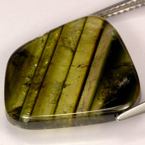 Turmalina multicolorido natural 9,21ct, transparente, transparente/translúcido