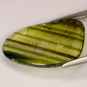 Turmalina multicolorido natural 4,72ct, transparente, transparente/translúcido
