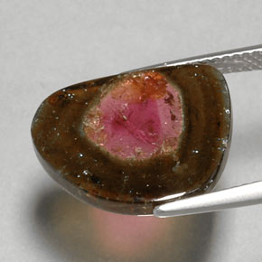 Turmalina multicolorido natural 6,79ct, transparente, transparente/translúcido