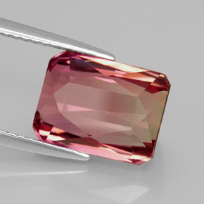 Turmalina bicolor natural 5,54ct, corte esmeralda, IF