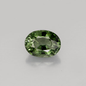 Turmalina verde natural 1,01ct, corte oval, VS