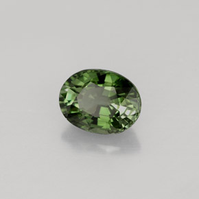 Turmalina verde natural 1,01ct, corte oval, VS
