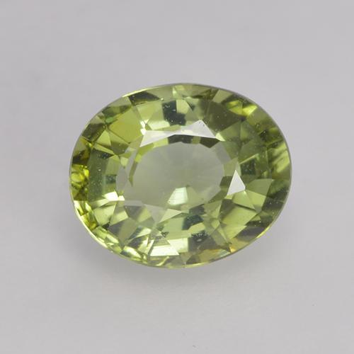 Turmalina verde natural 0,79ct, corte oval, VVS