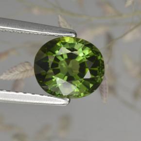 Turmalina verde natural 1,50ct, corte oval, VVS-VS