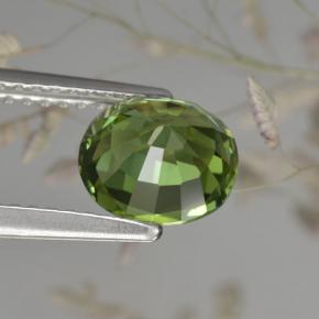Turmalina verde natural 1,50ct, corte oval, VVS-VS