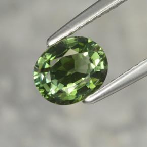 Turmalina verde natural 1,02ct, corte oval, VVS