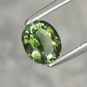 Turmalina verde natural 1,02ct, corte oval, VVS