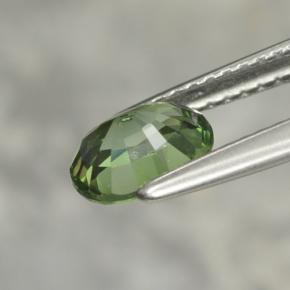 Turmalina verde natural 1,02ct, corte oval, VVS