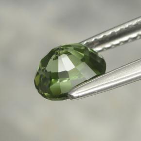 Turmalina verde natural 1,22ct, corte oval, VVS-VS