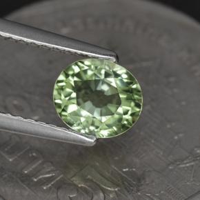 Turmalina verde natural 1,00ct, corte oval, VVS