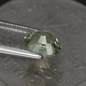 Turmalina verde natural 1,00ct, corte oval, VVS