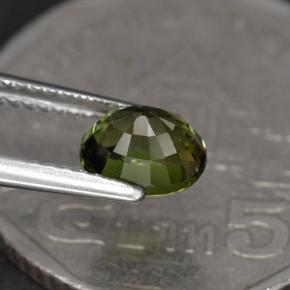 Turmalina verde natural 1,23ct, corte oval, VVS