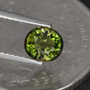Turmalina verde natural 1,05ct, corte oval, VS