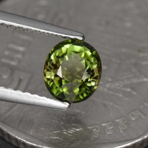 Turmalina verde natural 1,05ct, corte oval, VS