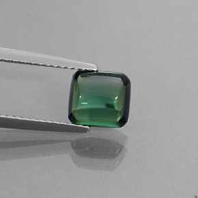 Turmalina verde natural 1,68ct, transparente, transparente/translúcido
