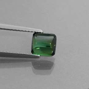 Turmalina verde natural 1,46ct, transparente, transparente/translúcido
