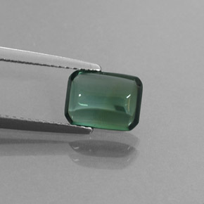 Turmalina verde natural 1,69ct, transparente, transparente/translúcido