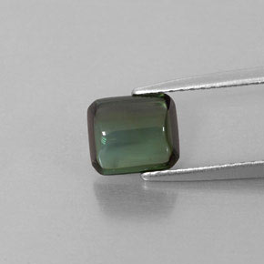 Turmalina verde natural 1,66ct, transparente, transparente/translúcido