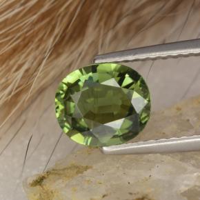Turmalina verde natural 1,20ct, corte oval, VVS