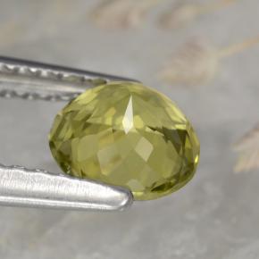 Turmalina amarelo natural 0,72ct, corte redondo, VVS-VS