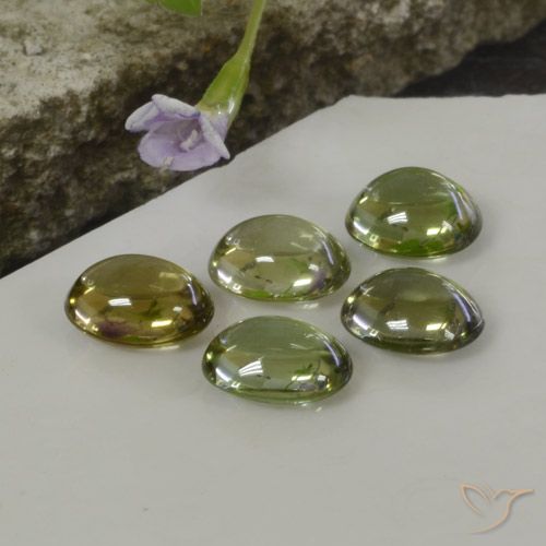 Pedras preciosas de Turmalina Multicolorido natural de 5.25 ct, oval, Transparente