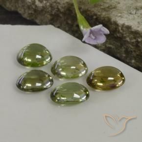 Pedras preciosas de Turmalina Multicolorido natural de 5.25 ct, oval, Transparente