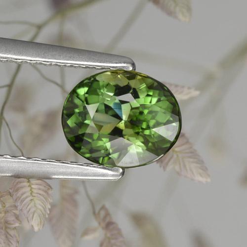 Turmalina verde natural 1,17ct, corte oval, VVS-VS