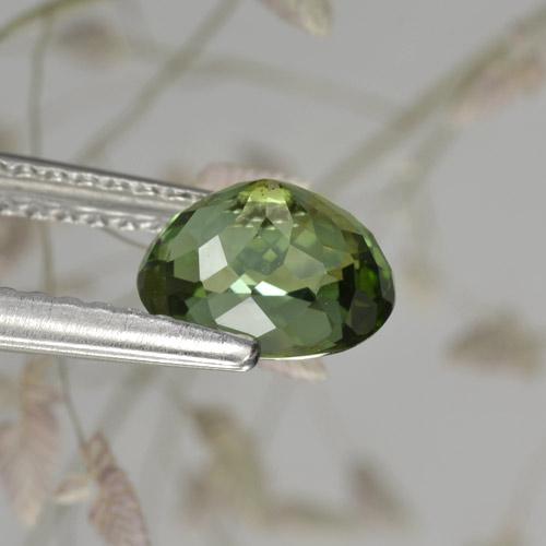 Turmalina verde natural 1,17ct, corte oval, VVS-VS