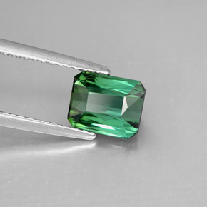 Turmalina verde natural 1,64ct, corte esmeralda, VVS