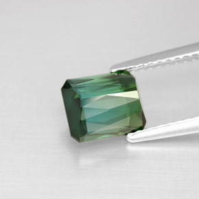 Turmalina verde natural 1,68ct, corte esmeralda, VS
