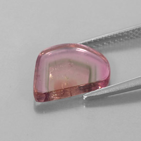 Turmalina multicolorido natural 2,74ct, transparente, transparente/translúcido