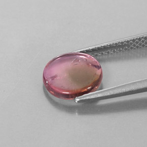 Turmalina bicolor natural 1,55ct, forma extravagante, transparente