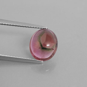 Turmalina multicolorido natural 3,33ct, transparente, transparente/translúcido