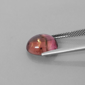 Turmalina multicolorido natural 3,33ct, transparente, transparente/translúcido