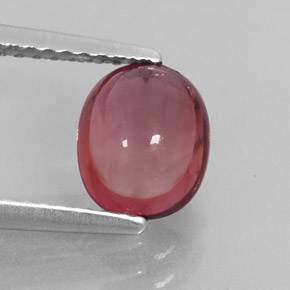Turmalina rosa natural 1,48ct, transparente, transparente/translúcido