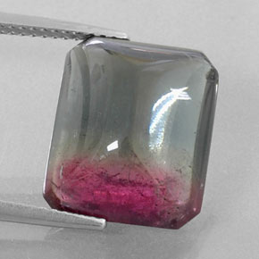 Turmalina bicolor natural 12,38ct, transparente, transparente/translúcido