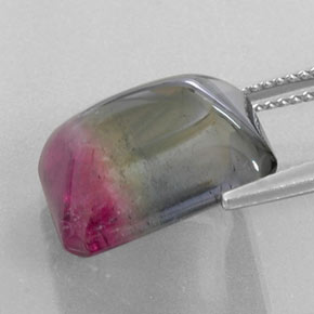 Turmalina bicolor natural 12,38ct, transparente, transparente/translúcido
