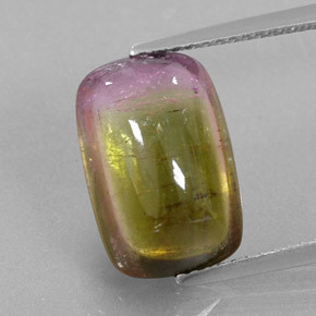 Turmalina bicolor natural 6,64ct, transparente, transparente/translúcido