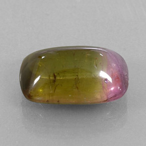 Turmalina bicolor natural 6,64ct, transparente, transparente/translúcido