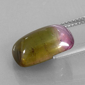 Turmalina bicolor natural 6,64ct, transparente, transparente/translúcido