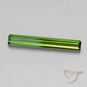 Turmalina verde escuro Natural 1.44ct, Corte Octógono / Esmeralda, VS