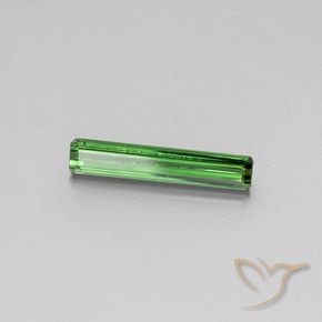 Turmalina Verde Natural 1.51ct, Corte Octógono / Esmeralda, VS