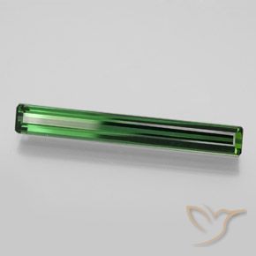 Turmalina Verde Floresta Legal Natural 3.19ct, Corte Octógono / Esmeralda, VVS