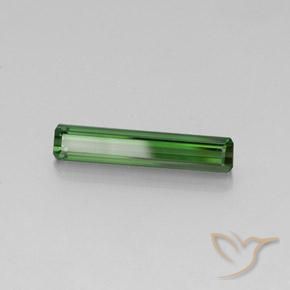 Turmalina Verde Natural 3.08ct, Corte Octógono / Esmeralda, VVS-VS