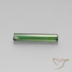 Turmalina Verde Natural 3.08ct, Corte Octógono / Esmeralda, VVS-VS